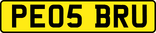 PE05BRU
