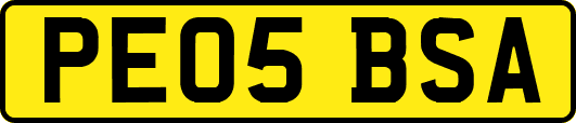 PE05BSA