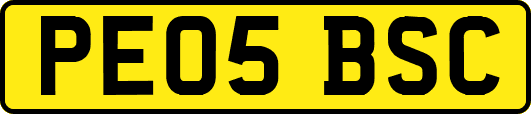 PE05BSC