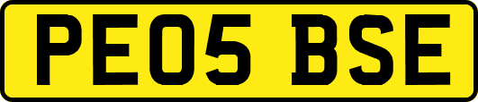 PE05BSE