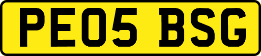 PE05BSG
