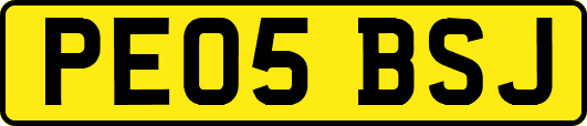 PE05BSJ