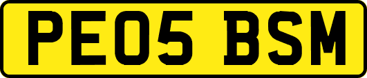 PE05BSM
