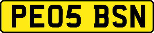 PE05BSN