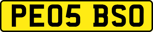 PE05BSO