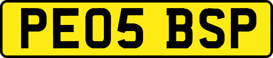 PE05BSP