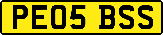 PE05BSS