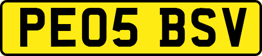PE05BSV