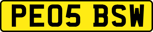 PE05BSW