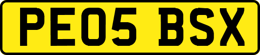 PE05BSX