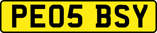 PE05BSY