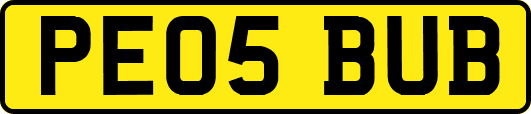 PE05BUB