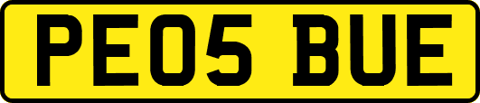 PE05BUE