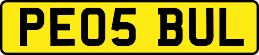 PE05BUL