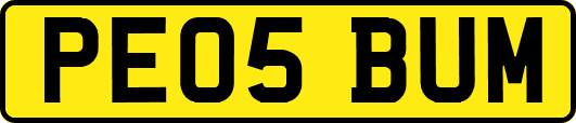 PE05BUM
