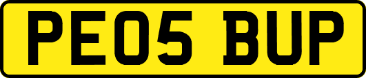PE05BUP