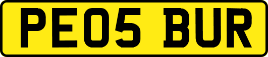 PE05BUR