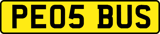 PE05BUS