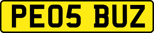 PE05BUZ