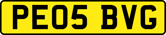 PE05BVG