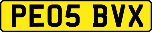 PE05BVX