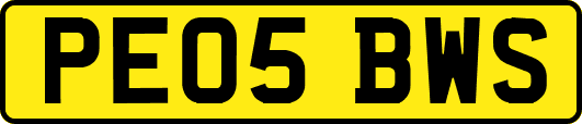 PE05BWS