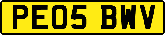 PE05BWV
