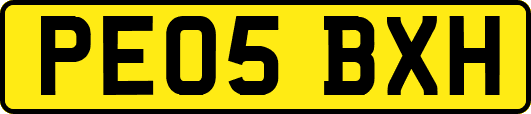 PE05BXH