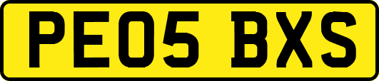 PE05BXS