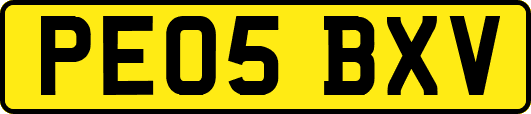PE05BXV