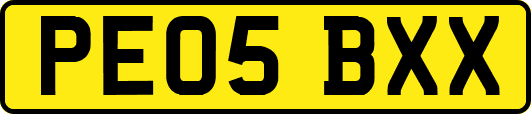 PE05BXX