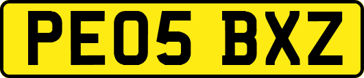 PE05BXZ