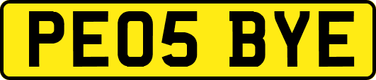 PE05BYE