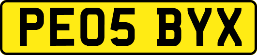 PE05BYX