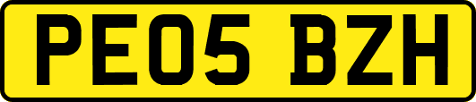 PE05BZH