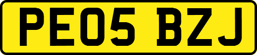PE05BZJ