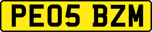 PE05BZM