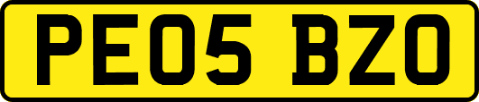 PE05BZO