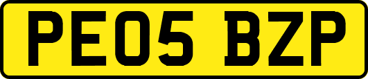 PE05BZP