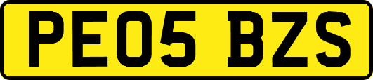 PE05BZS
