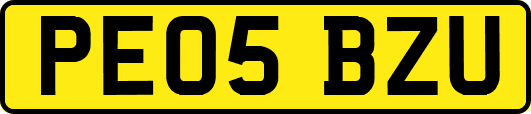 PE05BZU