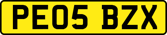 PE05BZX