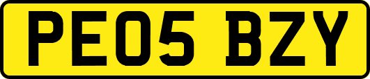 PE05BZY
