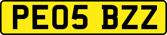 PE05BZZ