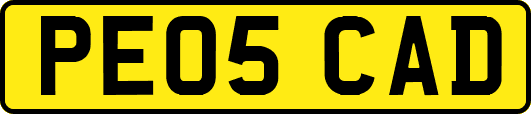 PE05CAD