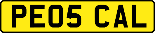 PE05CAL