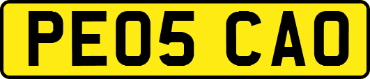 PE05CAO