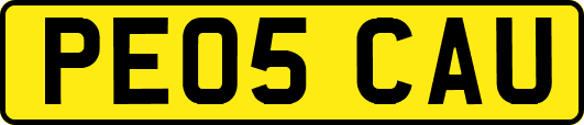 PE05CAU