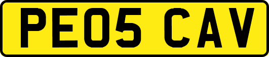 PE05CAV