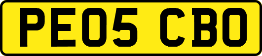 PE05CBO